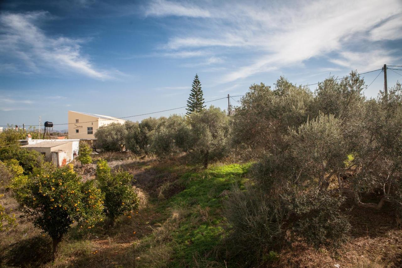Sunny Apartments - Ex Zoi Studios Agioi Apostoli  Dış mekan fotoğraf
